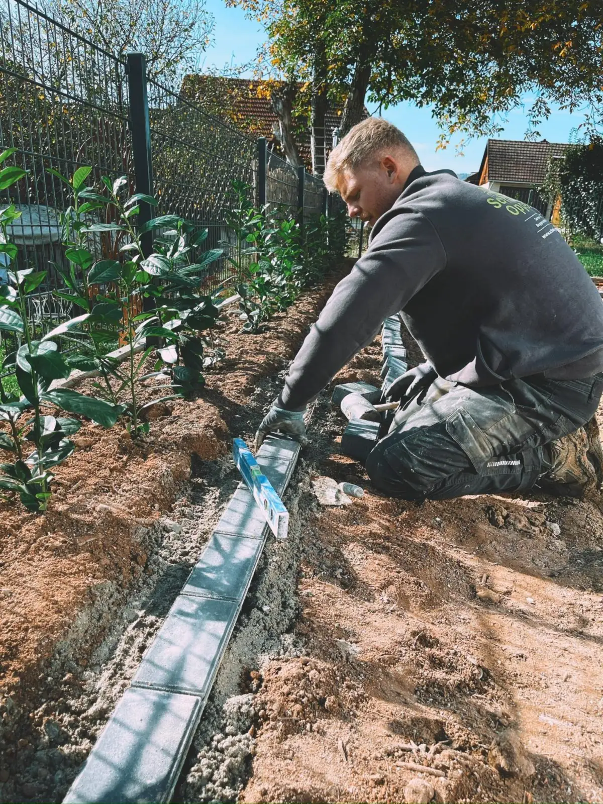 Mitarbeiter setzt Randsteine mit der Wasserwaage an einer frisch gepflanzten Hecke