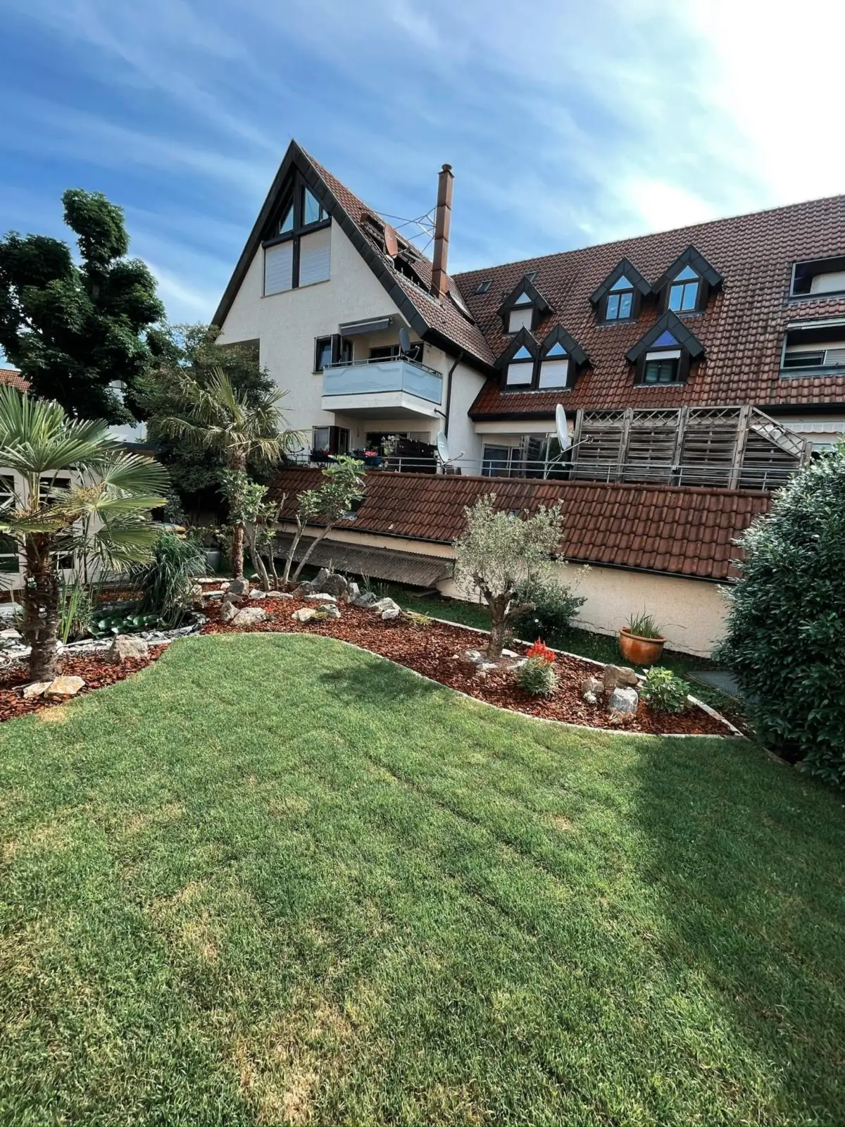 Garten mit frischem Rasen, Palme, Olivenbaum und geschwungenen Beeten vor einem Mehrfamilienhaus