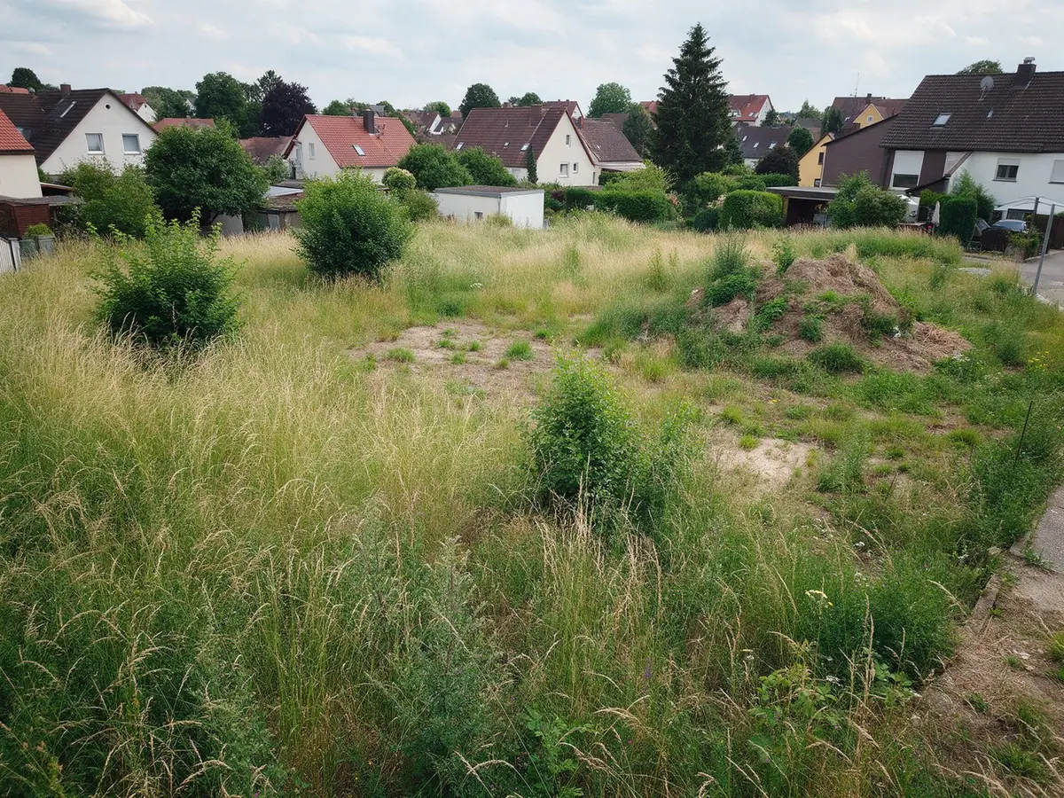 KI-generiertes Beispiel, Vorher: Zugewachsenes Baugrundstück mit hohem Gras und Büschen in einem Wohngebiet