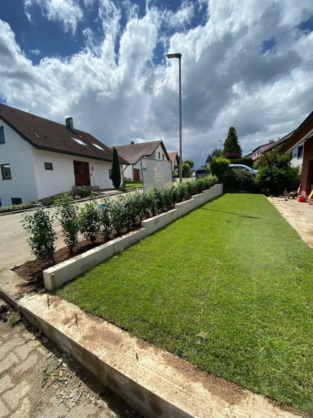 Gepflegter Rasen mit junger Hecke hinter gestaffelten L-Steinen